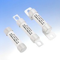 Fusible Industrial de Alta Velocidad AR14 14x51mm 690V DC - Capacidad de Ruptura de 100kA, 2 Polos