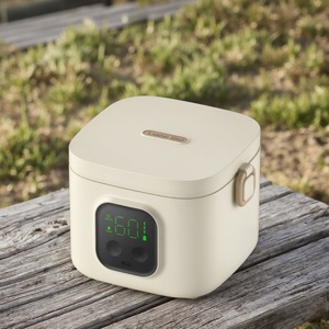 2025 Charging <b>Heating</b> 304 <b>Food</b> Grade Stainless Steel Wireless Intelligent Insulated Lunch Box Children Baby <b>Food</b> <b>Tray</b> Electric - Product Image 6