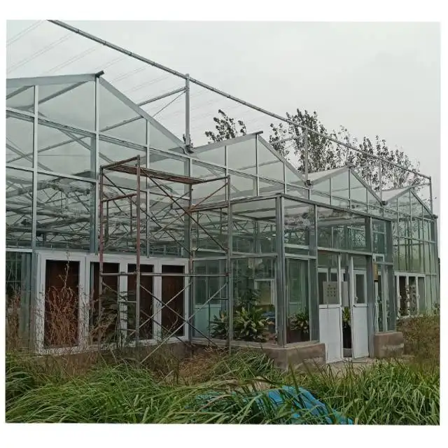 Agricultural multi-span arched membrane greenhouse tomato strawberry hydroponic high-quality greenhouse project