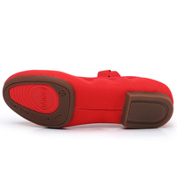 Chaussures de danse classique latine à talons plats pour femmes adultes, dessus en toile, semelles souples, semelle extérieure en caoutchouc, à lacets, pour professeurs