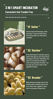 WONEGG New Egg Candler Poulet Canard Oie Caille Pigeon Oeufs Incubateurs pour œufs à couver avec tourneur automatique