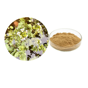 โรงงานผลิตผงสกัดวอเตอร์เครสธรรมชาติ P.E. วอเตอร์เครส สารสกัด 10:1 - Product Image 1