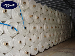 <span class=keywords><strong>Géotextile</strong></span> non tissé perforé à l'aiguille en polypropylène polyester vegas <span class=keywords><strong>géotextile</strong></span> non tissé 200gsm 800gsm pp pet tissu non tissé - Product Image 4