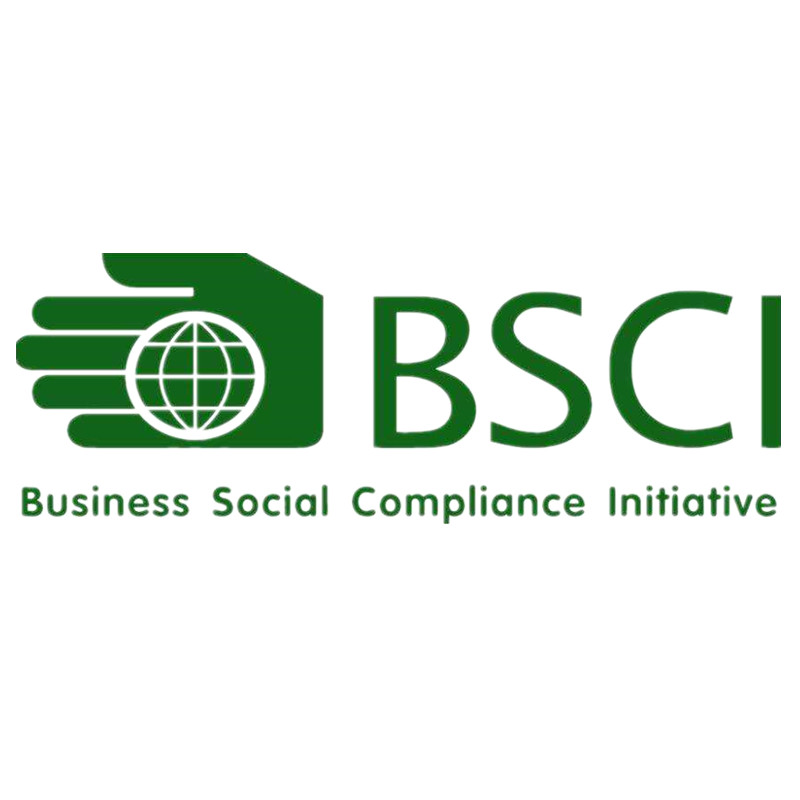 bis certified supplier in china