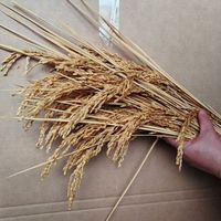 Bunga Beras Kering Alami, Buket Bunga Kering Asli, Perlengkapan Foto, Dekorasi Pastoral, Ornamen Bunga Beras