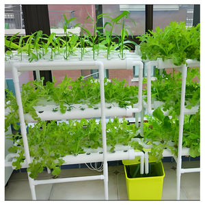 Système aquaponique NFT AGG, <span class=keywords><strong>tube</strong></span> en <span class=keywords><strong>PVC</strong></span> pour la culture hors-sol de légumes-feuilles, canal NFT de type <span class=keywords><strong>A</strong></span>, système de culture hydroponique - Product Image 4