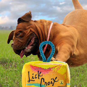 Jouets pour chiens en peluche durables en gros d'usine, jouets à mâcher mignons pour petits et moyens animaux de compagnie, fabriqués en nylon durable - Product Image 3