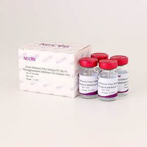 Antigène de test HI de souche H7 de la grippe aviaire Re-3 (WK)-Haute spécificité pour les maladies des volailles et les laboratoires vétérinaires - Product Image 2