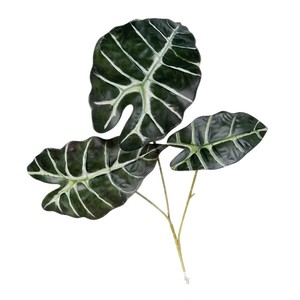 Plante artificielle en feuilles de taro, branche légère de 30 cm à 100 cm, décoration intérieure - Product Image 5