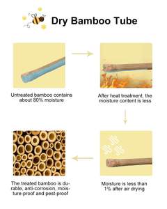 Casa <span class=keywords><strong>de</strong></span> abeja <span class=keywords><strong>de</strong></span> madera hecha a mano, hábitat <span class=keywords><strong>de</strong></span> bambú Natural, colmena, carpintero, <span class=keywords><strong>abejas</strong></span> polinizadoras, cortador <span class=keywords><strong>de</strong></span> <span class=keywords><strong>hojas</strong></span>, abeja para gatos, árboles, rascador - Product Image 4