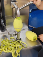 Éplucheur automatique de peau de mangue Éplucheur de mangue électrique Éplucheur de mangue verte Machine Éplucheur d'oeil d'ananas