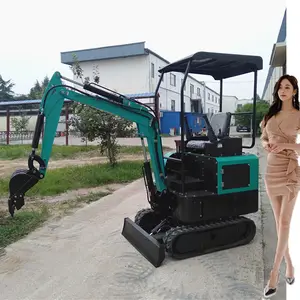 Micro Digger 1ton Minigraafmachine Met Emmer Vijzel Vork Chinese Graafmachine