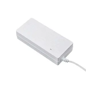 Factory Supply Custom 240W AC DC Power Adapter 24V 12V 20A Power Supply 24V 10A For Battery Charger