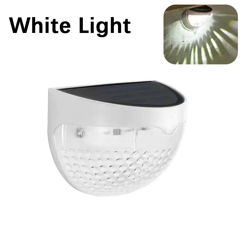White light-White shell