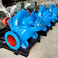 Pompe centrifuge horizontale à double aspiration grande capacité pour l'approvisionnement en eau propre et l'irrigation (surpresseur)