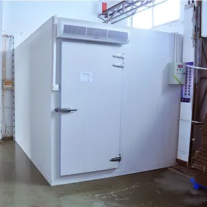 Small-Scale Walk in Freezer Storage High Efficiency Customized Freezing Room/Cold room room For Fish