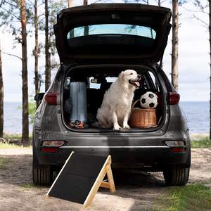 Rampe d'escalade pour chien, marchepied pour animaux de compagnie, échelle 2 en 1, en bois, pliable, pour chiens <span class=keywords><strong>et</strong></span> chats, vente chaude - Product Image 6