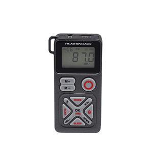 Radio FM/AM/MP3 de Bolsillo Q-501, 1200mAh, Pantalla LCD, Puerto USB, Reproducción de Tarjeta TF, con Correa - Product Image 2