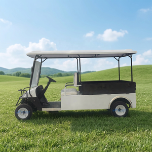Voiturette de golf électrique de luxe haute performance, nouveau produit, très demandée, 2 places, buggy d'hôtel, transport spécial/véhicule électrique - Product Image 1