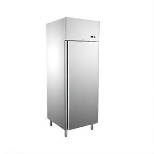 Commercial Freezers Kitchen Refrigerator Restaurant Refrigerator Solid Door Upright Chiller
