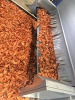 Déshydrateur de noix Betelnut Pili Équipement de séchage de noix de coco desséchée Machine de séchage d'arachide