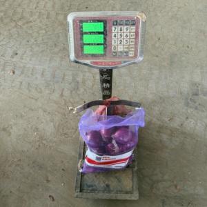Cebolla Roja de Shandong, Cosecha 2026, 8cm, Fresca, 10kg, Producto de Rich Farmer, Enviada <span class=keywords><strong>a</strong></span> Canadá - Product Image 6