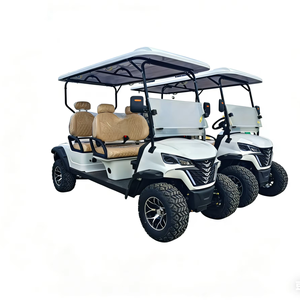 Voiture électrique 2 4 6 8 places, acier métallique, plastique, voiturette de golf de chasse, voiturette de golf tout-terrain 8 places, buggy, scooter électrique de golf - Product Image 1