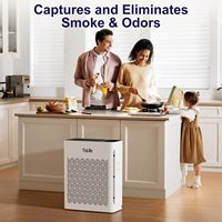 Purificateur d'air de style nordique minimaliste pour bureau, éliminant la fumée secondaire ; utilisation domestique, élimination des odeurs d'animaux domestiques