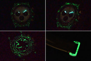 Étui en fibre de carbone qui brille dans le noir, édition personnalisée - Convient pour les tenues décontractées et professionnelles, montres haut de gamme - Product Image 5