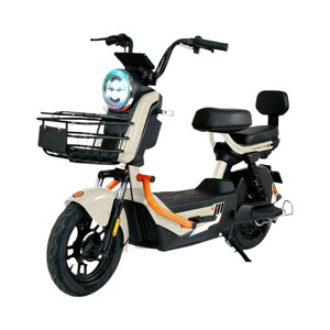 Motociclette Elettriche Portatili e Compatte per Uso Domestico - Guida Fluida ed Efficiente per Russia, Bielorussia, Kazakistan - Product Image 4