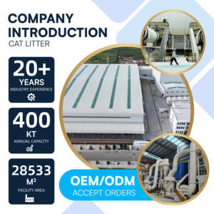 Promotion Fournisseur : Meilleure Marque Premium – Litière pour Chat à la Lavande, Anti-Odeur, Agglomérante Puissante, Bentonite, Sable Arena Para Gato - Product Image 4
