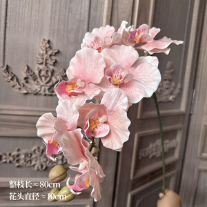 Orchidée Phalaenopsis Artificielle Transfrontalière 80cm Haute, Fleur en Caoutchouc Souple pour Décoration de Mariage, Bouquet de Simulation Réaliste - Product Image 1