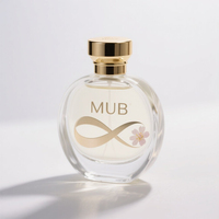 Botellas de Perfume Cuadradas de Vidrio con Tapa Dorada Personalizadas, OEM, Vacías, Recargables, con Pulverizador y Difusor de Varillas, 30ml/50ml/100ml