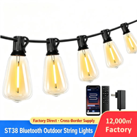 Guirlandes lumineuses LED personnalisées 24V IP44 en PVC, ampoules PET incassables longue durée, solutions d'éclairage extérieur à économie d'énergie