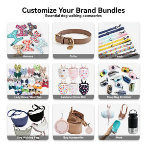 Conjunto de Arnés Personalizado para Perro con Diseño de Logotipo, Collares y Correas Ajustables, Arnés de Paso para Cachorros, Productos para Perros - Product Image 3