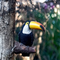 Décoration de Noël extérieure personnalisable en FRP, certifiée IP65, pour la rue, le jardin, motif animal 3D lumineux, toucan lumineux