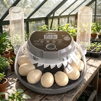 Incubateur à œufs WONEGG, capacité de 12 œufs, entièrement automatique, machine d'incubation, couveuse pour volailles avec retournement des œufs