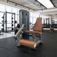 Machine de musculation professionnelle à charge par plaques pour extensions et flexions des jambes, en métal, pour exercices de fitness