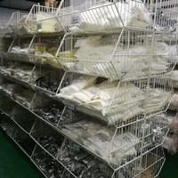 Fournisseur Alibaba Chine CAS 555-43-1 Tristéarate de Glycéryle Haute Pureté (99%) Qualité Alimentaire Matière Première Cosmétique ISO9001