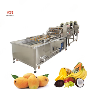 เครื่องล้างผักผลไม้แบบพลิกกลับได้ พร้อมถังระบายน้ำ สำหรับล้างมันฝรั่ง มะเขือเทศ ผักใบ ผลไม้ ปลา - Product Image 1