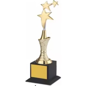 Fourniture en gros Trophée étoile d'entreprise Parfait pour les initiatives stratégiques qui stimulent la croissance de l'entreprise Disponible au prix d'usine - Product Image 1