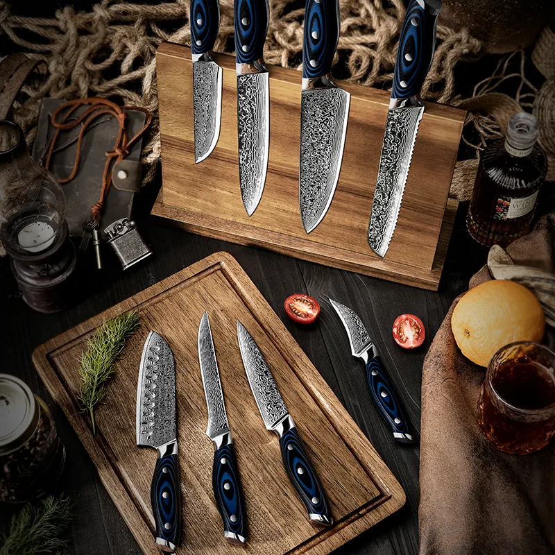 Grandsharp 4 Pcs Steak Knife Set 67 Layers VG10 Japanese Damascus Steel  Kitchen Knives Utility Knife Stainless Steel Cutlery with Gift Box