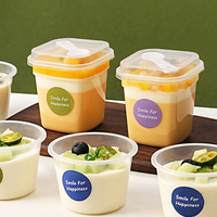 Gobelet à pudding jetable en PET de haute qualité, écologique, avec cuillère, boîte d'emballage pour dessert, vente en gros