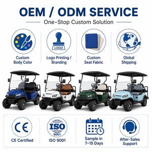 <span class=keywords><strong>Voiture</strong></span> de golf électrique 60V 4.0KW 4 places, double <span class=keywords><strong>circuit</strong></span>, frein à disque hydraulique, suspension MacPherson, capacité de montée de 25%, chariot de golf OEM - Product Image 5