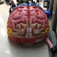 Tunnel Gonflable Géant Créatif en Forme d'Organe Humain pour Activités Éducatives Personnalisées, Expositions et Événements Extérieurs