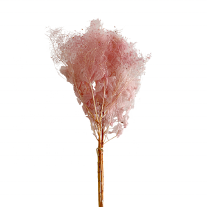 Offre Spéciale Conservé Fleur Éternelle Fumée Brousse Pour Arrangement de fleurs Fleur Éternelle - Product Image 3