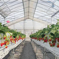 Serre de culture biologique à tunnel pour l'élevage d'escargots Serre hydroponique à film plastique pour tomates laitue concombre