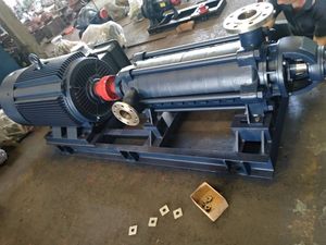 Pompe centrifuge horizontale multi-étages de surpression 380V de haute qualité pour la vente en gros D - Product Image 3