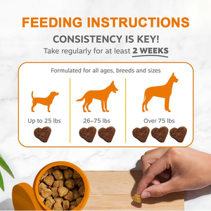OEM supporto per la salute dell'intestino mastica morbida probiotici per animali domestici e potenziatori immunitari Anti-allergia integratori probiotici per una salute ottimale degli animali domestici - Product Image 4