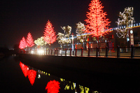 Arbre de noël géant en forme de cône de 6m, équipement décoratif à LED, pour la danse musicale, nouveau,